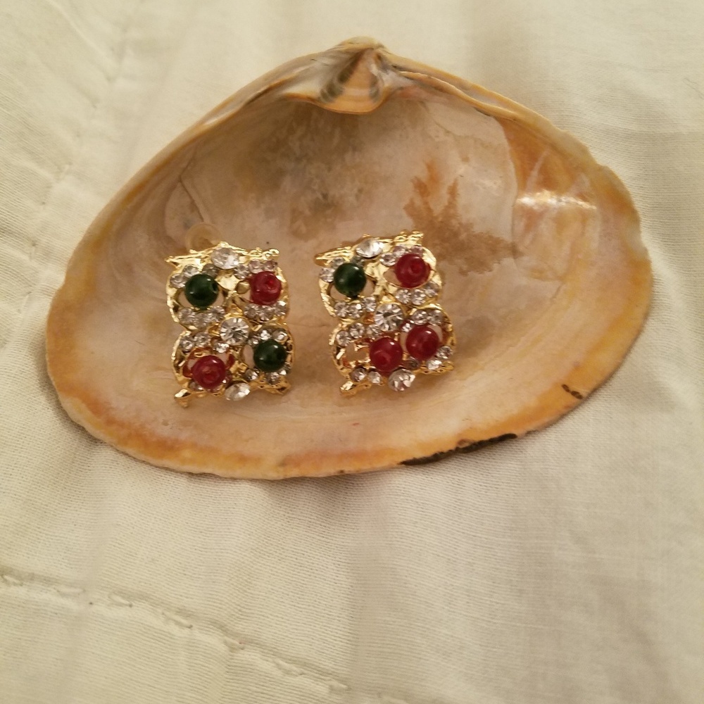 Elegant Earrings